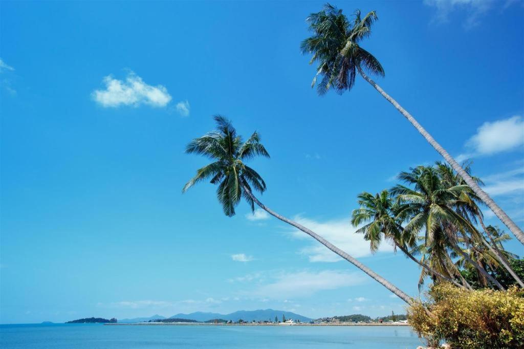 Hotel Palm Point Village Chaweng (Koh Samui)